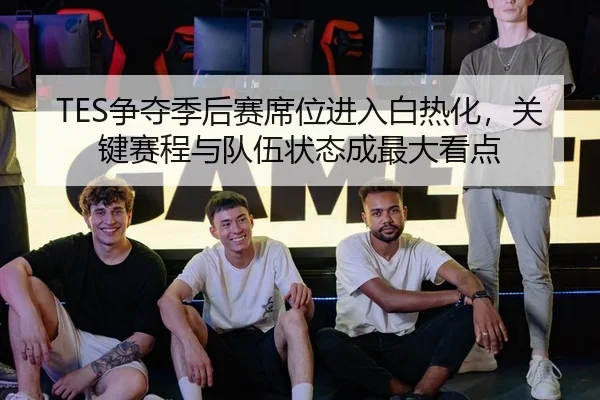 TES争夺季后赛席位进入白热化，关键赛程与队伍状态成最大看点